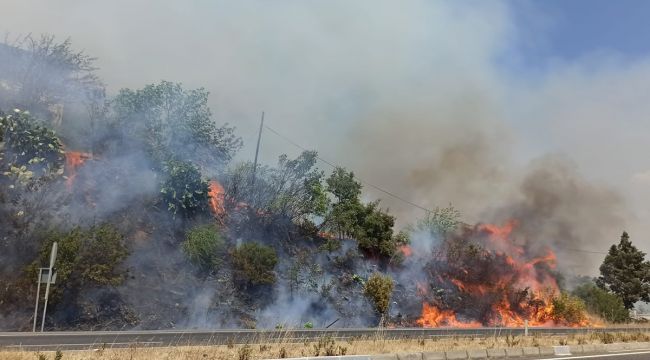 Muğla'da ormana sıçrayan yangın söndürüldü