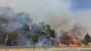 Muğla'da ormana sıçrayan yangın söndürüldü