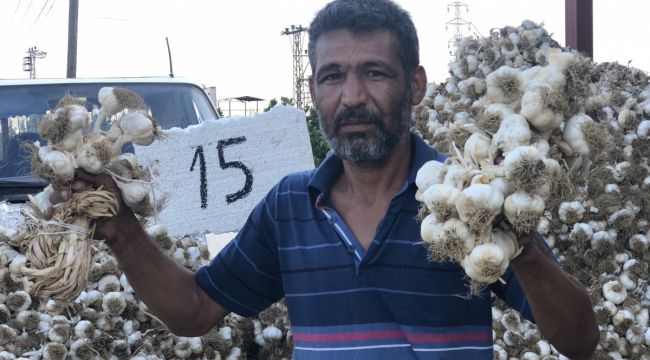 Sarımsakta üretim artınca fiyatlar düştü