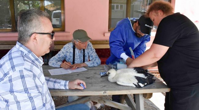 Yaren Leylek ve yavruları artık uydudan takip edilecek