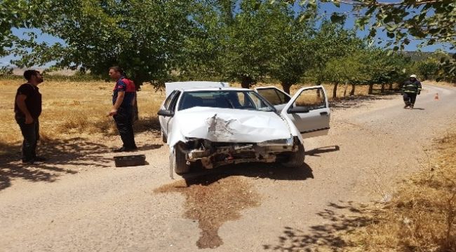 Hayvanlara çarpmamak için kaza yaptı