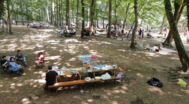 İstanbul'da ormanlara giriş yasaklandı