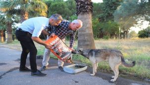 KURBAN BAYRAMI'NDA HAYVANLAR UNUTULMADI