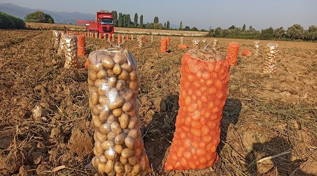 ÖDEMİŞ ÜRETİME DEVAM EDİYOR