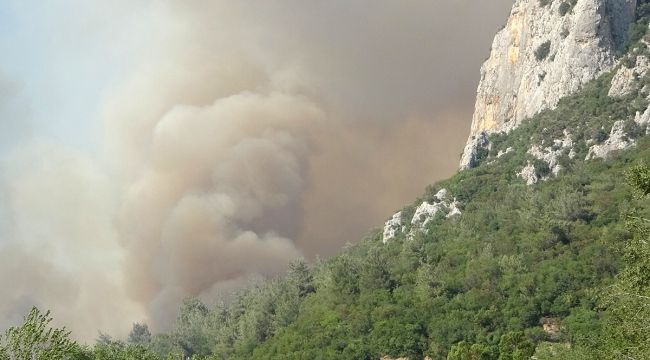 Osmaniye'de yangın, kısmen kontrol altında