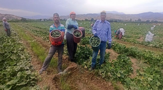 SALATALIKTA 2. SEZON BAŞLADI