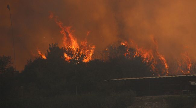 161'i kontrol altında, 13 yangın devam ediyor