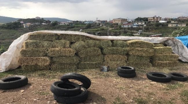 3 şahıs, ot balyası çaldılar