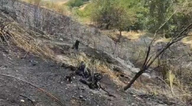 Adıyaman'da çıkan yangında hayvanlar telef oldu