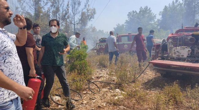 Alanya'da orman yangını