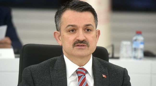 Bakan Pakdemirli, Manavgat yangınının kontrol altına alındığını duyurdu