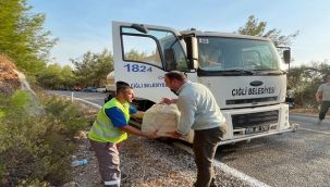 BAŞKAN GÜMRÜKÇÜ YANGIN BÖLGESİNDE