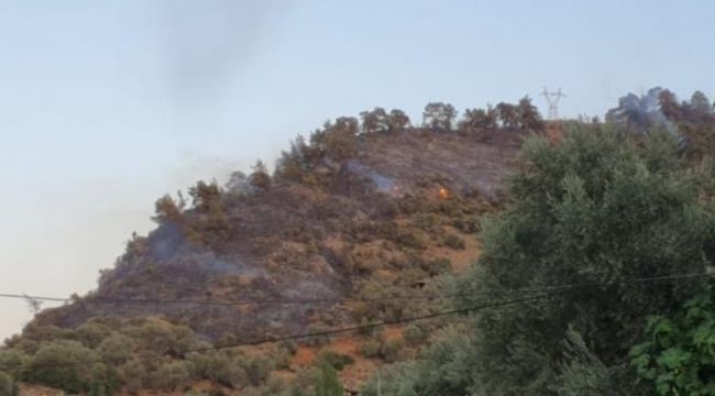 Bozdoğan yangını kontrol altına alındı