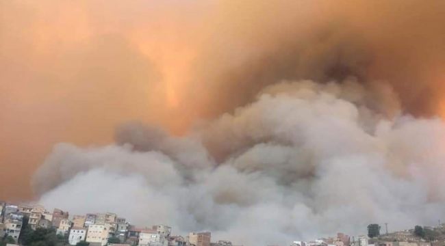 Cezayir'deki orman yangınlarında ölenlerin sayısı 42'ye yükseldi