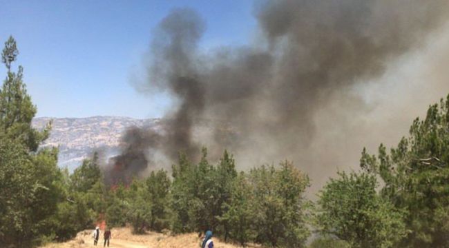 Denizli'de başlayan orman yangını için halk seferber oldu