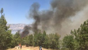 Denizli'de başlayan orman yangını için halk seferber oldu