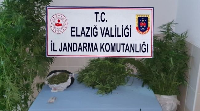 Elazığ'da eş zamanlı operasyon