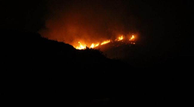 Gece 4 helikopter devreye girdi, Bodrum'da yangın kontrol altına alındı