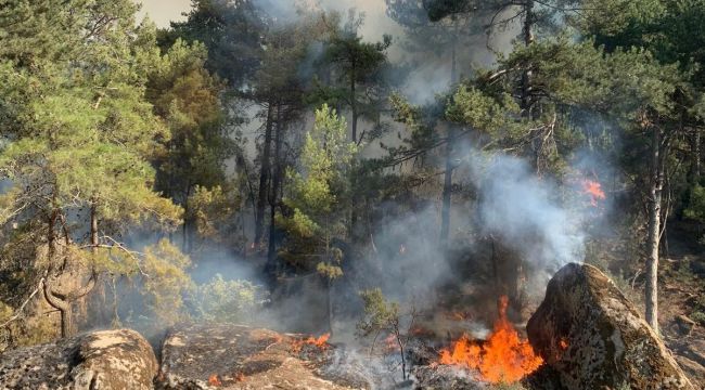 Karpuzlu'da orman yangını çıktı