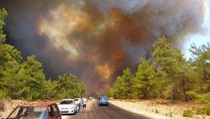 Manavgat'ta jandarmanın yakaladığı yangın şüphelisi hastanede yaşamını yitirdi