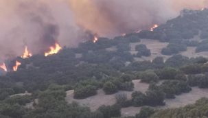 Manisa'dan yangın bölgesine destek