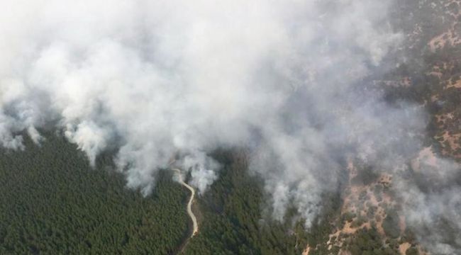 Muğla'da yangın söndürme çalışmaları devam ediyor