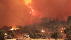 Muğla'da yangınlar devam ediyor