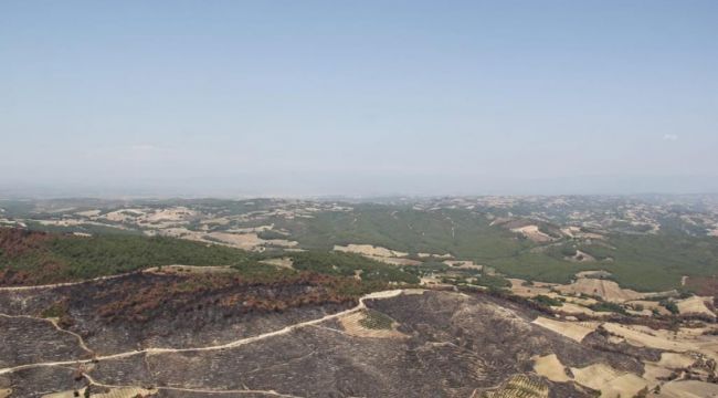 Orman Genel Müdürlüğü yangında zarar gören alanlar için çalışmalara başladı