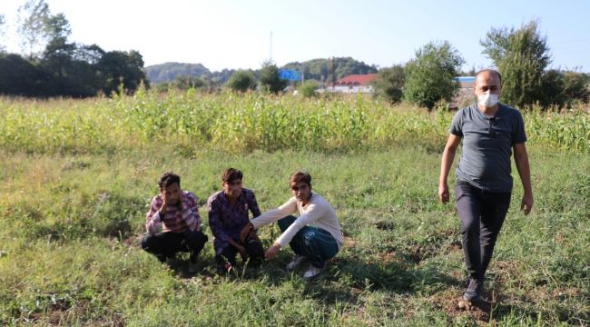 Ormana kaçan kaçak göçmenler ekiplerce yakalandı