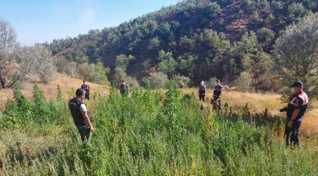 Ormanlık arazisini kenevir, ahırını kaçak içki imal etmek için kullandı