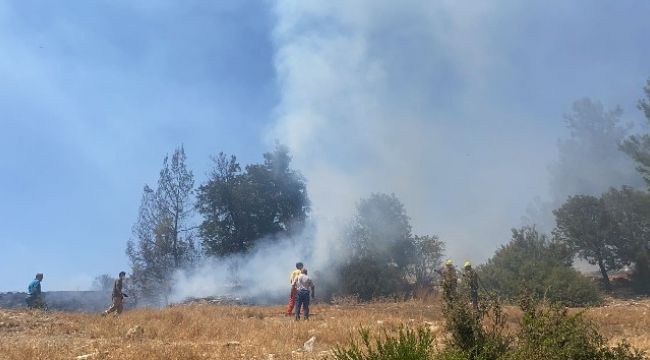 Seydikemer'de bir yangın daha başladı