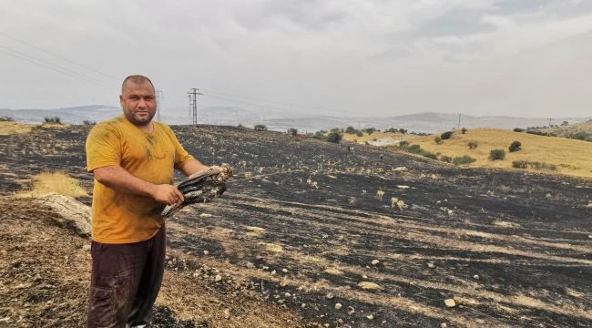 TRAFOYA ÇARPAN ŞAHİN, ORMANI YAKIYORDU