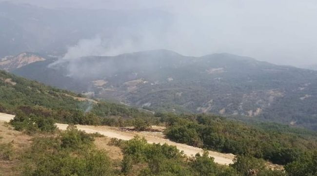 Tunceli'deki orman yangınlarında soğutma çalışmaları devam ediyor