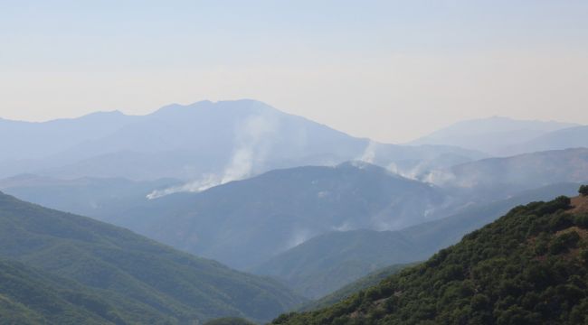 Tunceli'deki yangınına müdahale devam ediyor