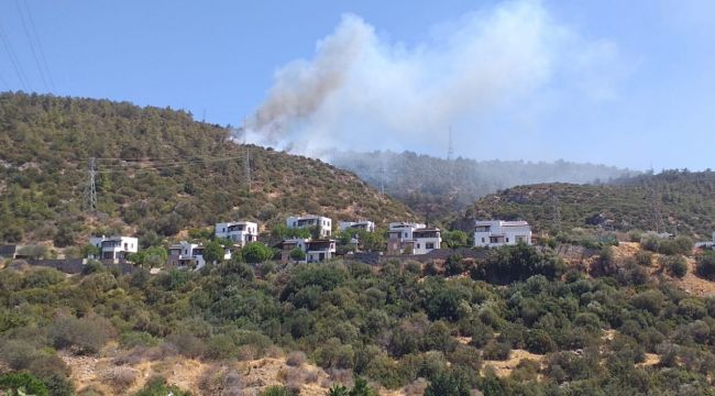 Bodrum'da orman yangını çıktı