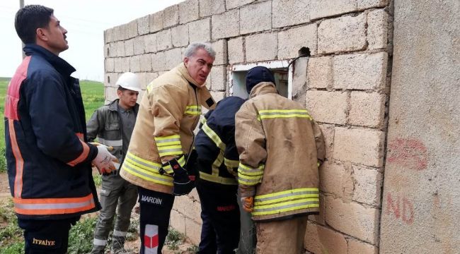 Elektrik akımına kapılan genç kadın hayatını kaybetti