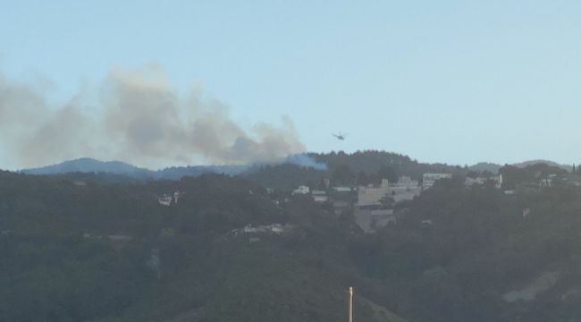 Hatay'da orman yangını