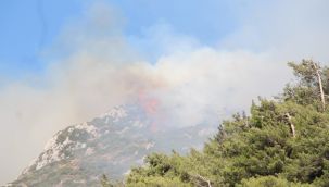 Hatay'da orman yangını