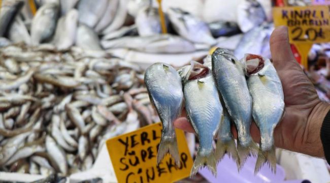 Havalar bozdu Karadeniz'de ‘çinekop' patlaması yaşandı