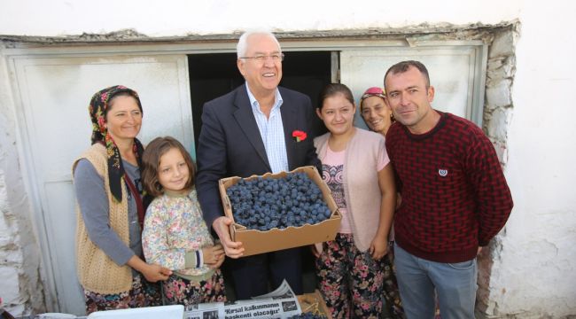 KAVACIKTA ÜZÜM FESTİVALİ