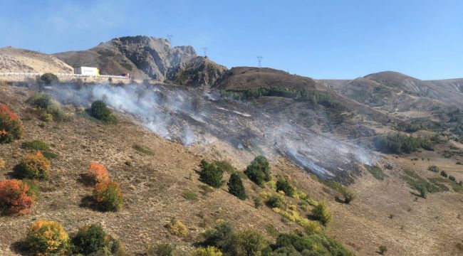 Kop Dağı'nda çıkan örtü yangını kontrol altına alındı