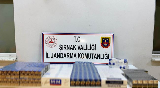 Şırnak'ta 22 bin 200 karton kaçak sigara ele geçirildi