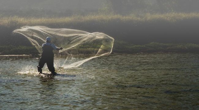 "Alaçatı Sulak Alanına" dikkat çekmek için yapılan fotoğraf yarışması sonuçlandı