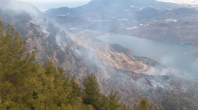 Anamur'da orman yangını