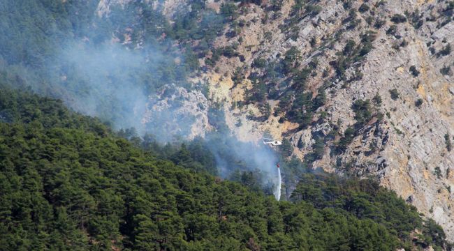 Antalya'da orman yangını kontrol altına alındı