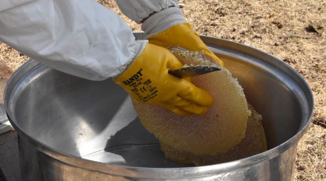 Bitlis'in meşhur karakovan balının hasadına başlandı