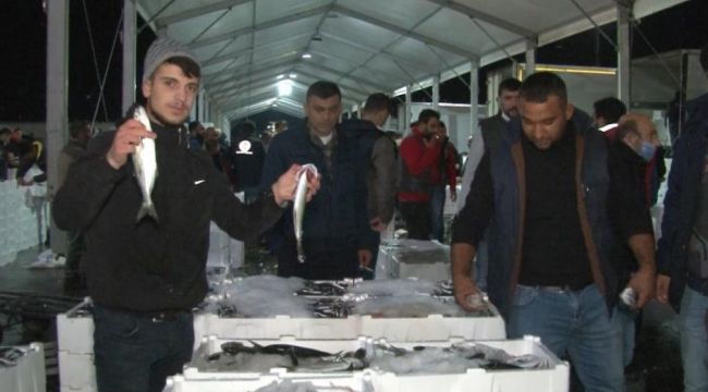 Marmara Denizi'nde lüfer bolluğu balıkçıların yüzünü güldürdü