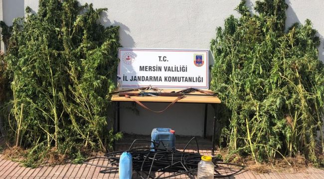 Mersin'de uyuşturucu operasyonu