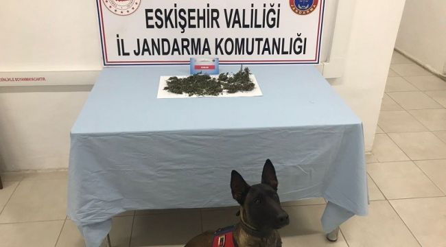 Narkotik köpeği Alfa eve saklanan uyuşturucuyu buldu