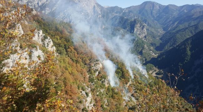 Osmaniye'de orman yangını